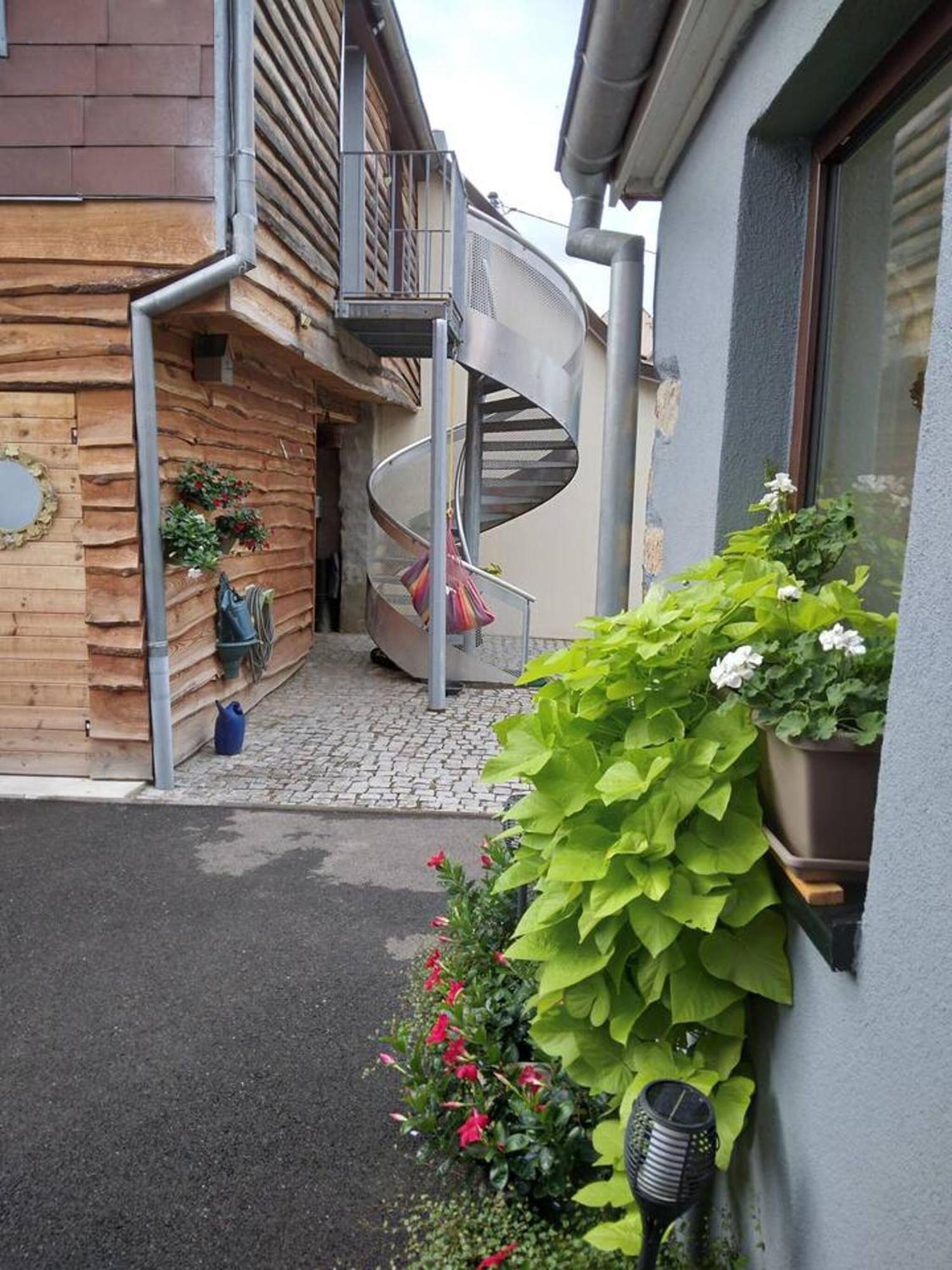 Appartement Cosy Wintzenheim + Terrasse Εξωτερικό φωτογραφία