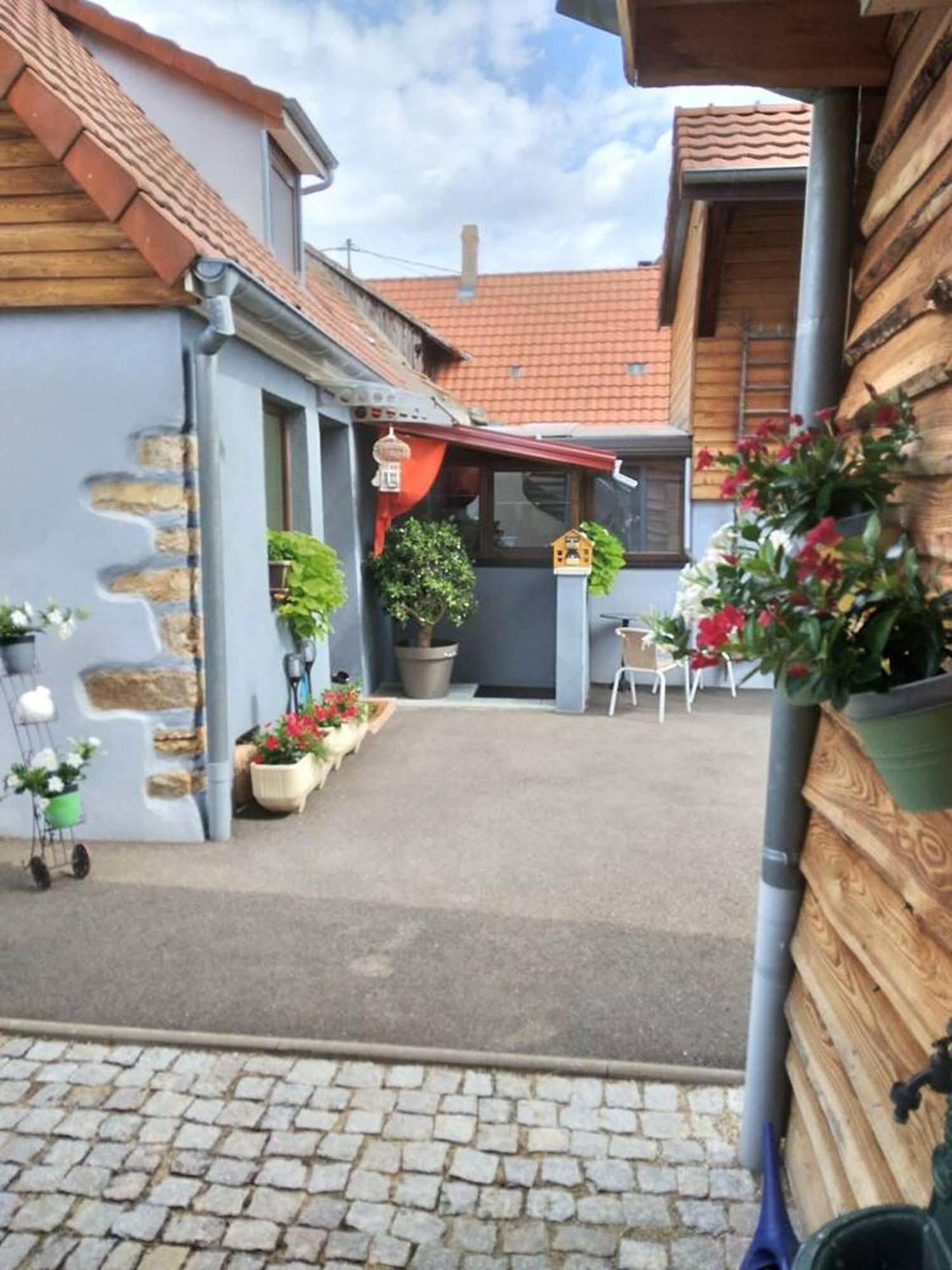Appartement Cosy Wintzenheim + Terrasse Εξωτερικό φωτογραφία