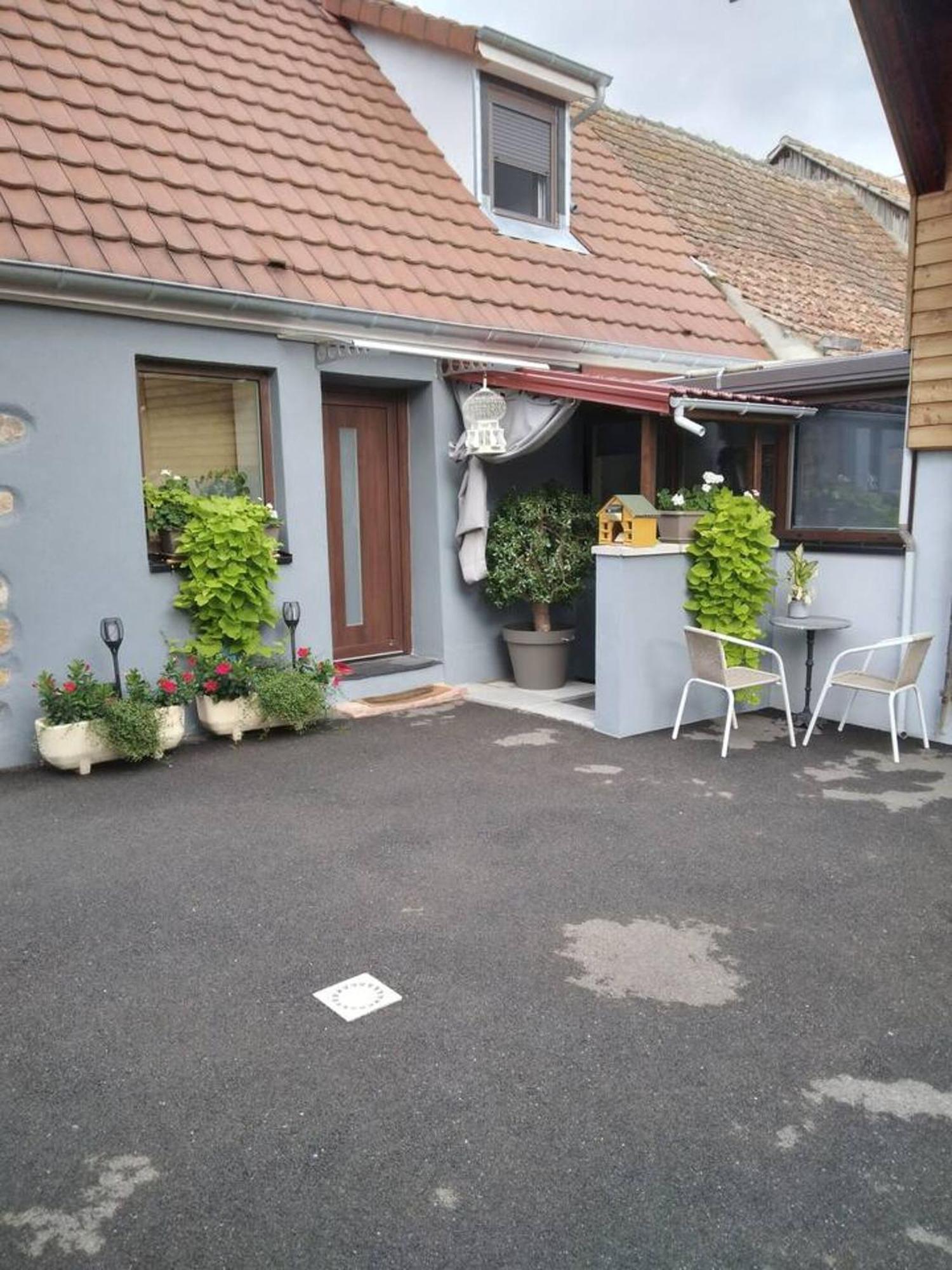 Appartement Cosy Wintzenheim + Terrasse Εξωτερικό φωτογραφία